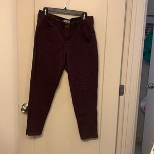 Purple Wit & Wisdom Pants